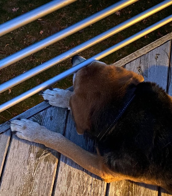 Old boye smellin them smells