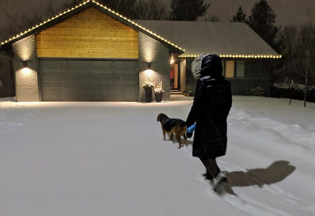 Home from a winter walk