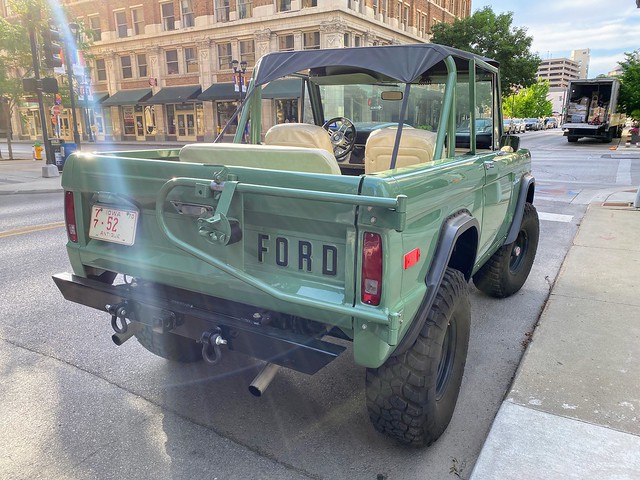 A beautiful bronco
