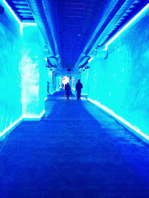 Willy Wonka Beer Stuff