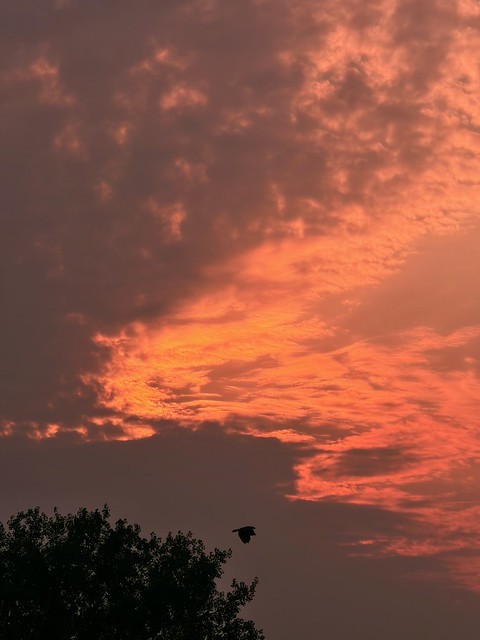 Cool sunset