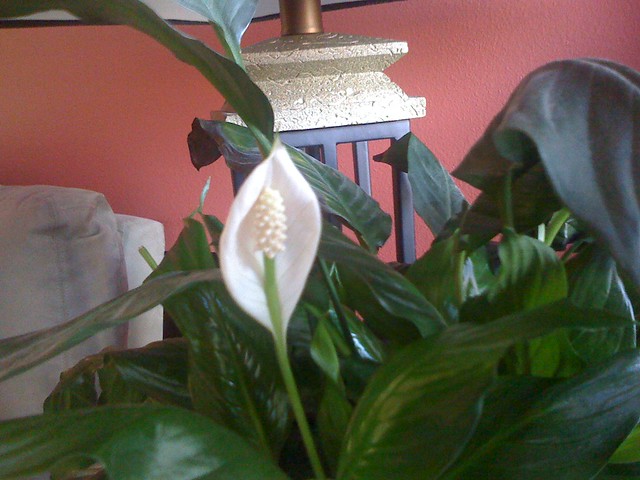 First one in two years...