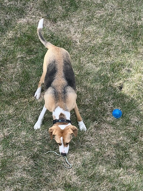 Dead snake is very exciting