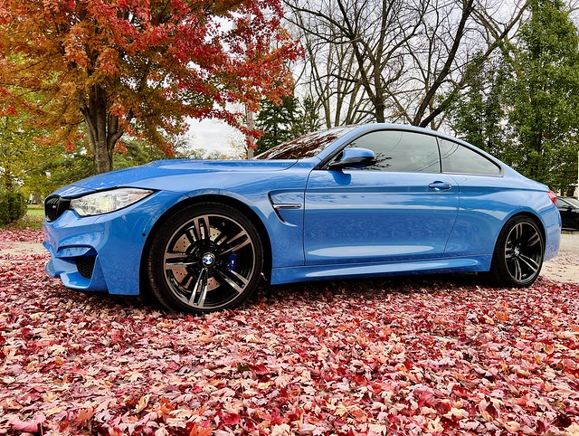 The sakhir leaves match the leather seats