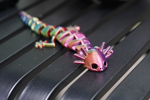 Lil 3-legged Axolotl