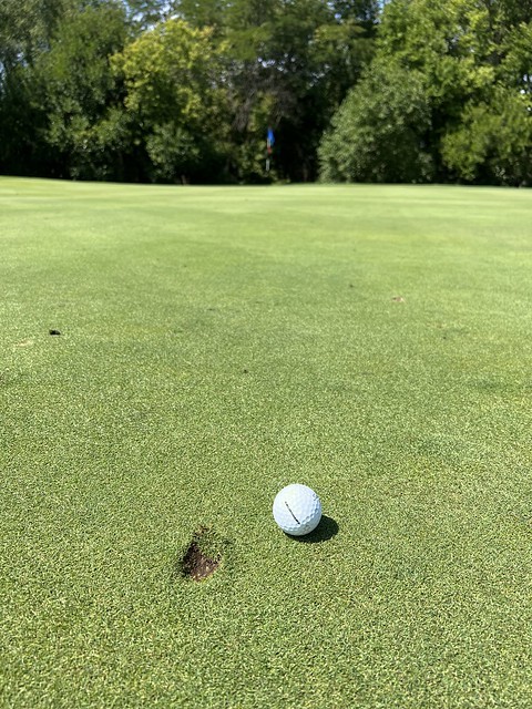 Dropping em like rocks. Long leave tho.