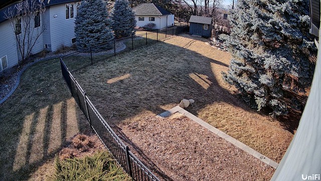 New garden camera: installed