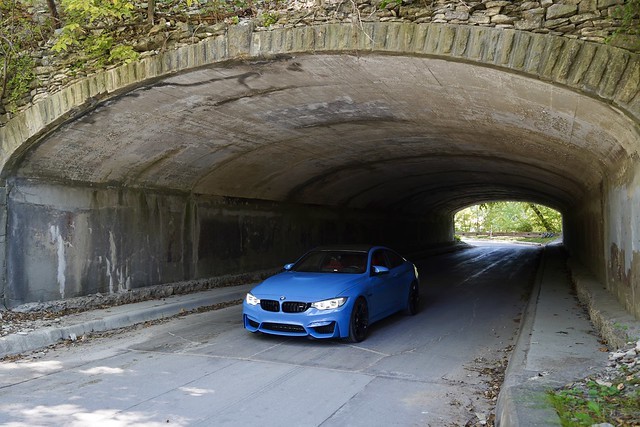 A quick cruise through Pammel Park