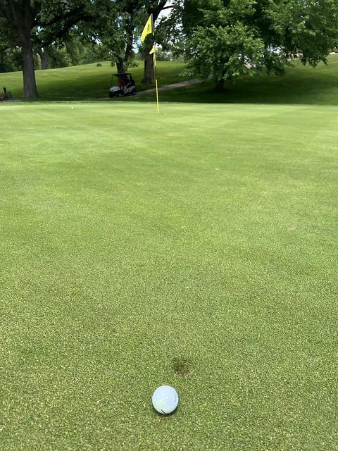 Had to get over a tree from 150 out. Pitching wedge. Dropped like a rock. A little short.