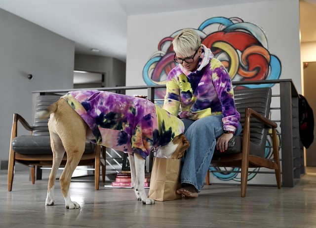 Digging for presents