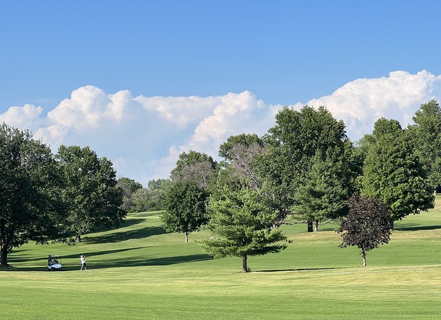 Sometimes being on the golf course just feels great