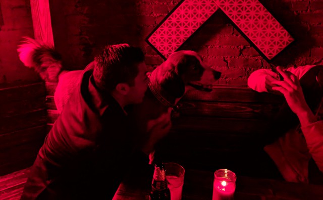 There's a good boy in this club