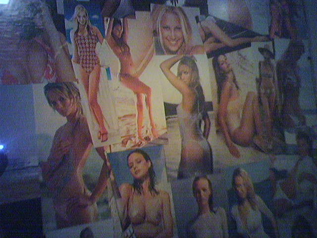 This wall of girls above a urinal at Angry Dog