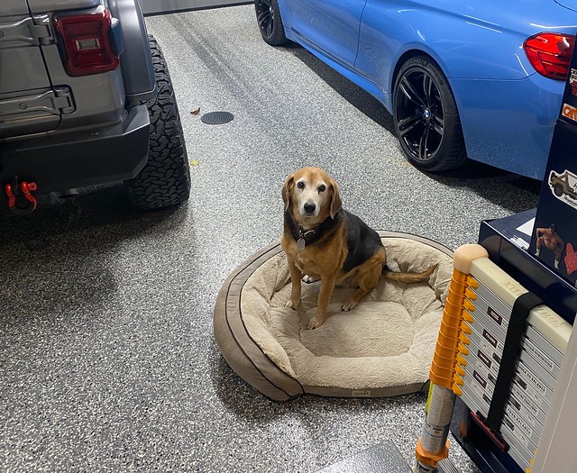 "i dunno why my bed is here, but i'm gonna sit in it"