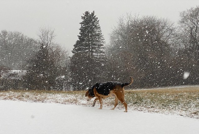 A snowy walk with Garth Brooks
