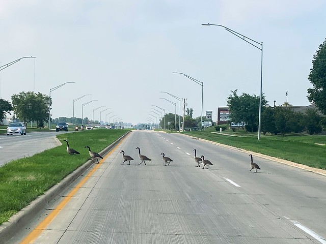 Just gonna wait here for a second