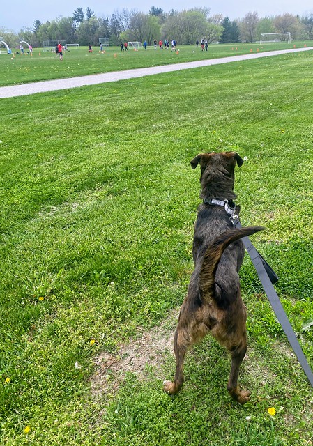 Well this was certainly exciting