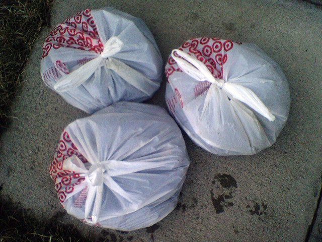 Cleaning up after the dog rules!