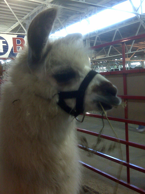 I wish I was this dude.