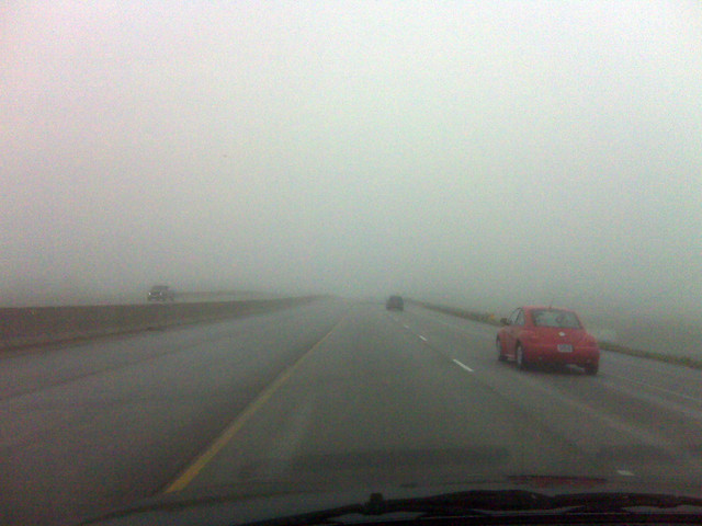 Foggy drive to work.