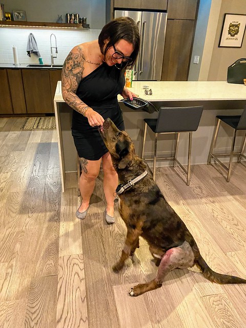 Lil bit of leftover steak for the home-alone boy