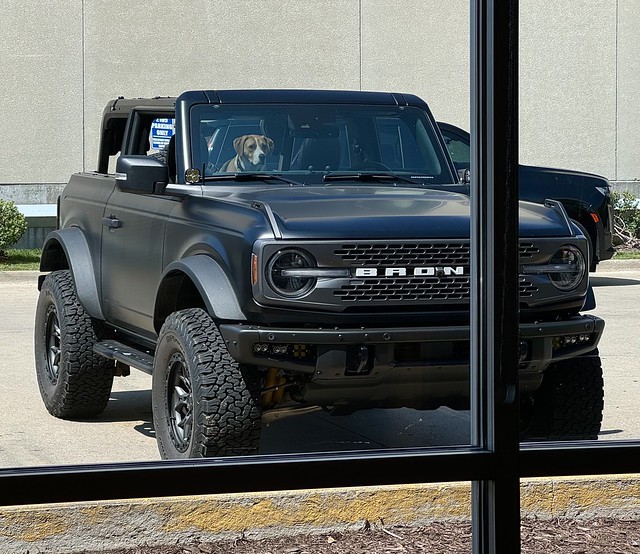 Waiting for me to get a burrito