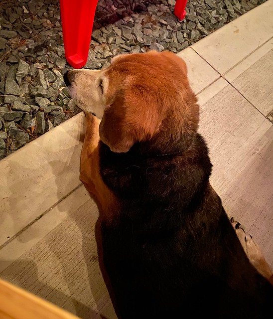 Late night patio boy