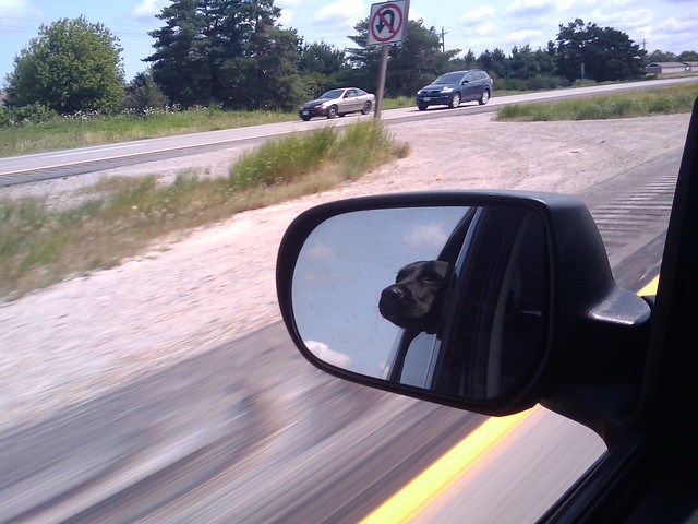 Crusin to the qc, windows down.