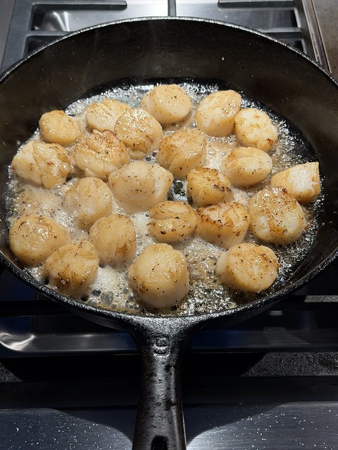 Scallop time