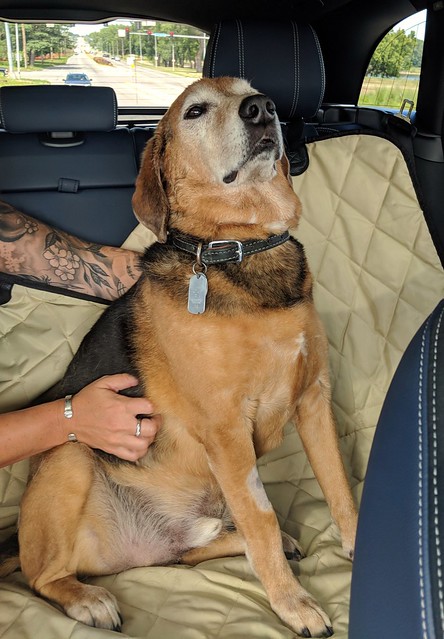 Garth Brooks coming off anesthesia today.