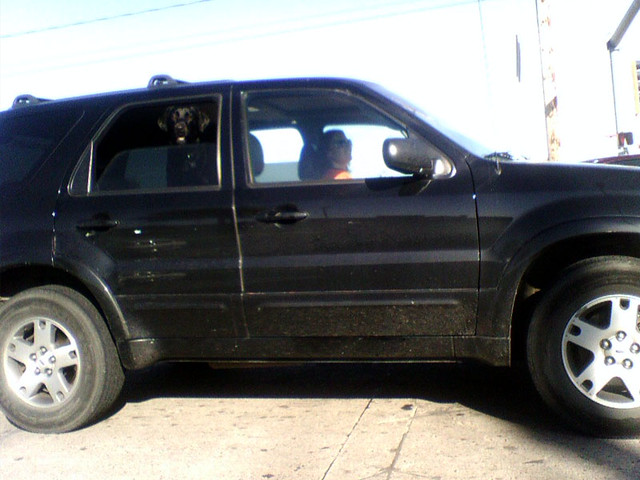 Ninja and Kari's Dirty Car