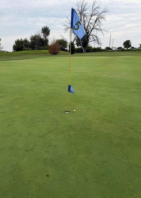 Near Hole-in-one. Landed in the bottom left, lipped the back of the cup and wound up inches away