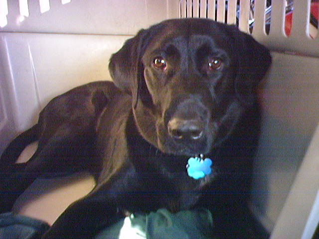 Ninja riding to Cedar Rapids