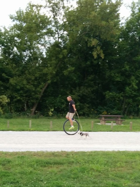 Just out taking my pup pup for a walk