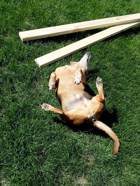 Oh yeah. That's the spot.