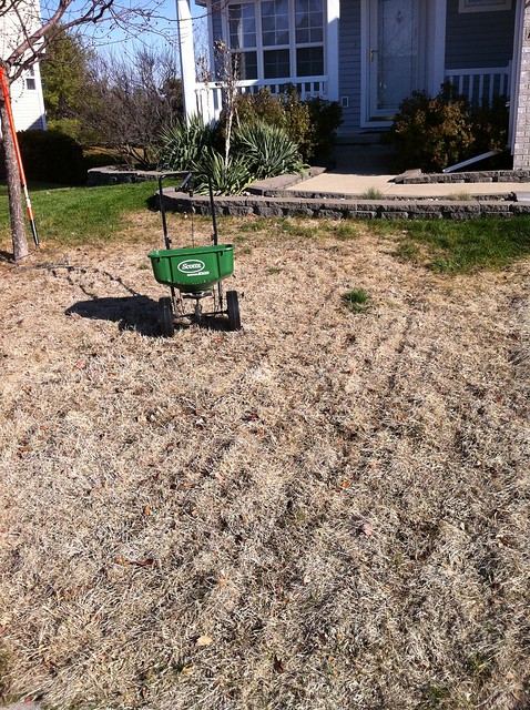 Consequences for spending 15 months away from my lawn...