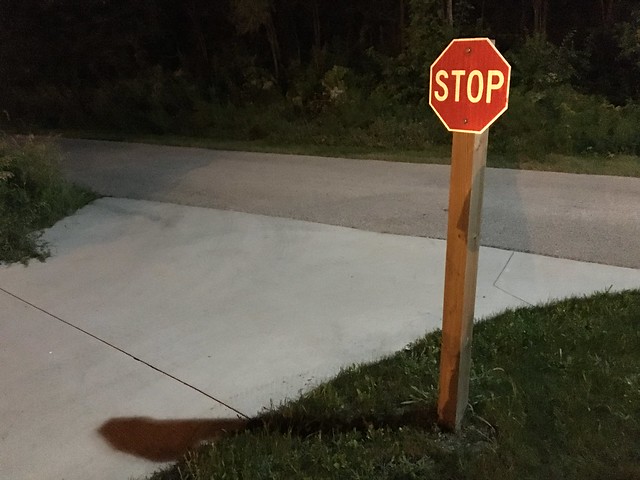 To the bike trail