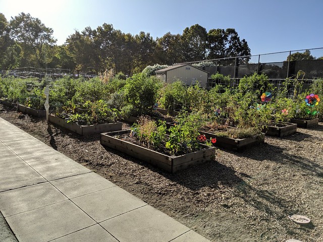 PayPal HQ has gardens that employees can use.
