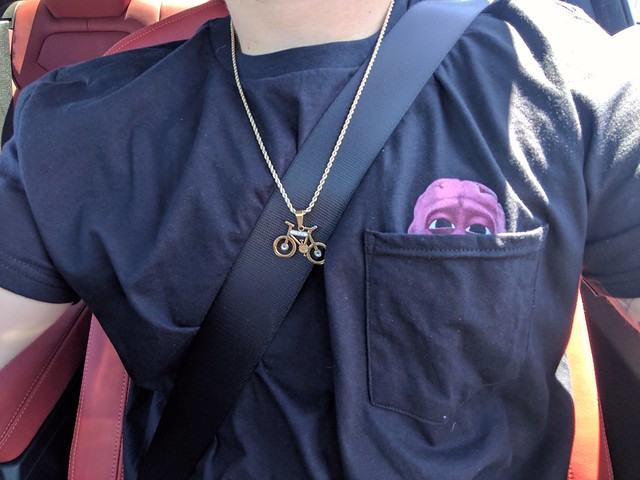 Please don't neglect the brain