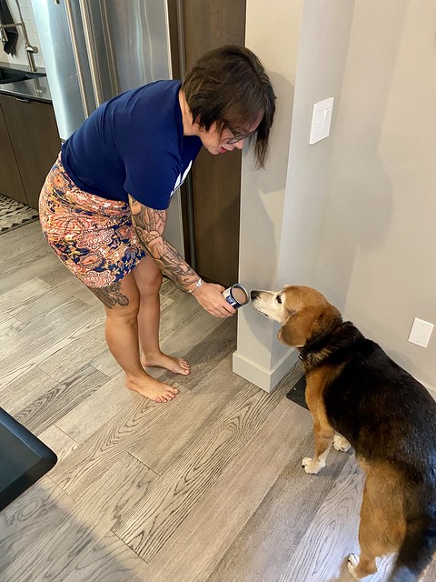 Garth gets fancy food on Fridays too. We gotta make sure it smells good before we serve it tho.