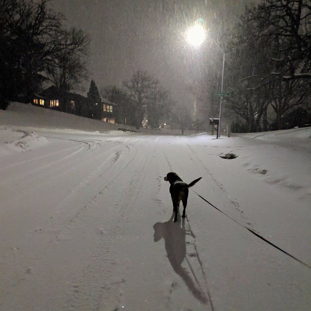 Snowboye