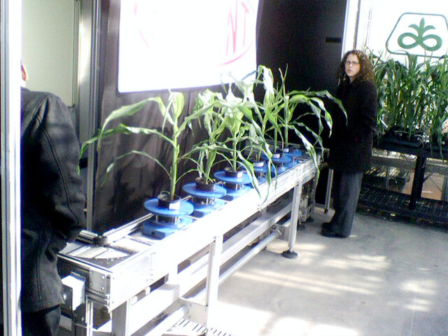 Hanging out in the greenhouses