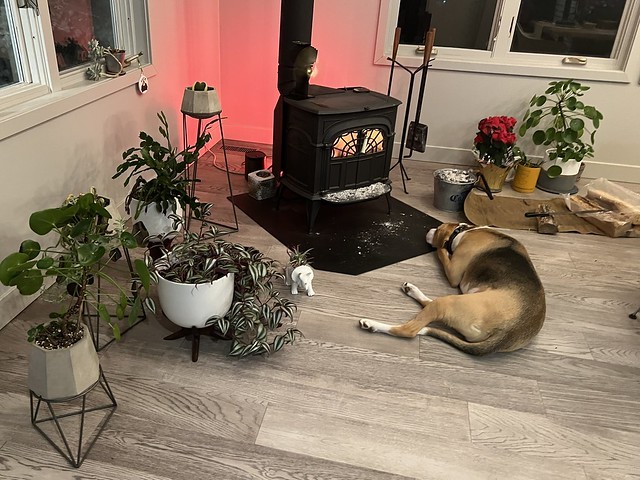 We’ve had this fire going for about 4 days straight now. Durby has been enjoying it.