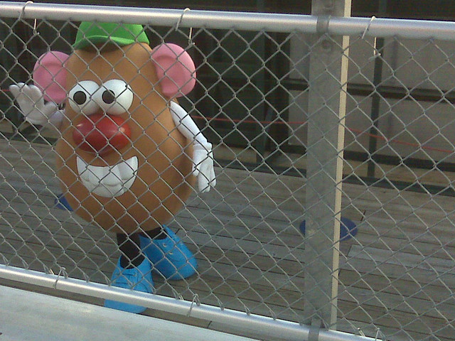 Mr Potato head