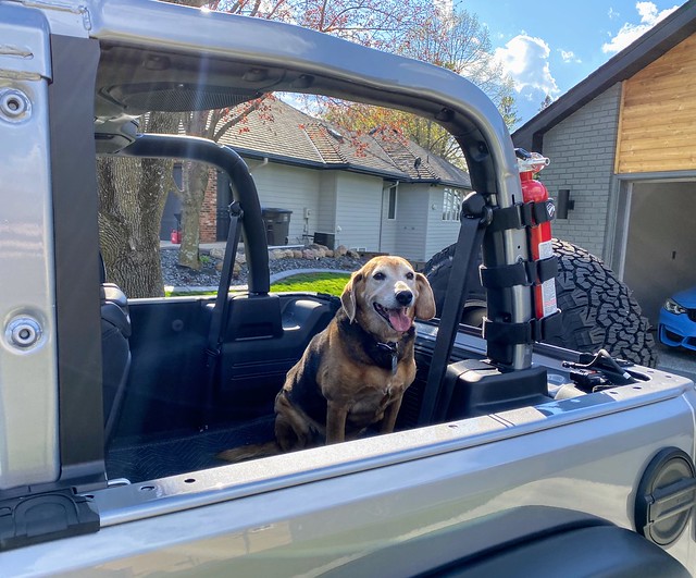 Happy old man is ready for a Jeep ride