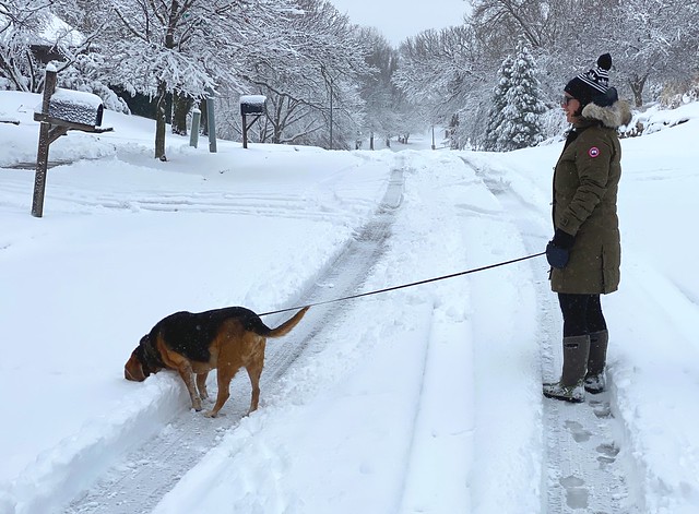 Garth Brooks loves slamming his face into the snow to get a good sniff of the deep stuff