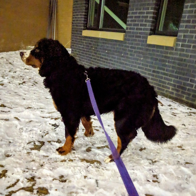 Walkin this big girl