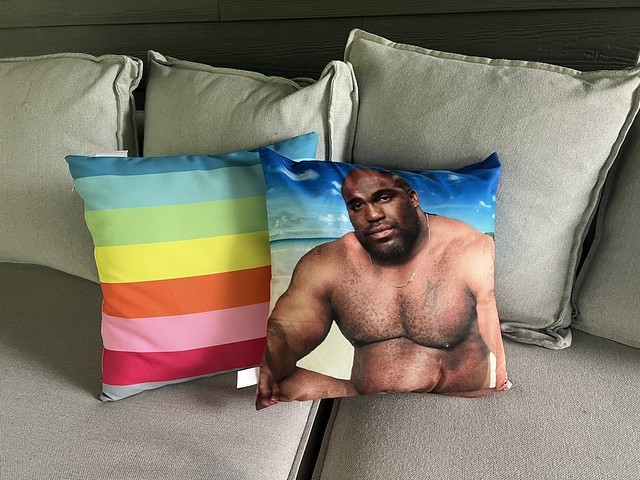 Thank you for sending me this new pillow, Yuga