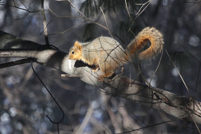 Don't even think about it