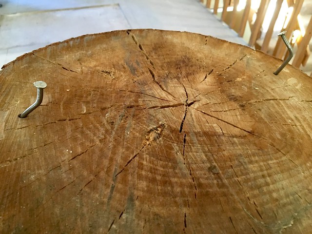 Playing hammerschlagen with a log that is literally harder than nails